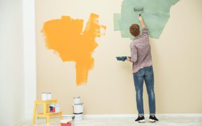 Top 5 Tips For Buying The Perfect Paint