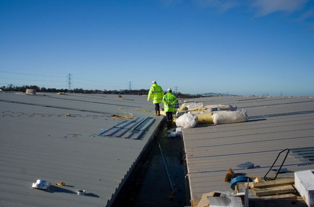 Eco-Friendly Solutions with AMD Remodeling’s Commercial Roofing Insulation in Plano TX